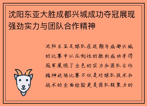 沈阳东亚大胜成都兴城成功夺冠展现强劲实力与团队合作精神
