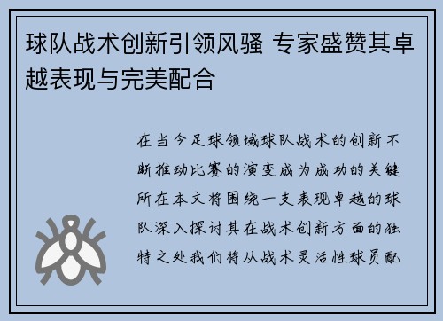球队战术创新引领风骚 专家盛赞其卓越表现与完美配合