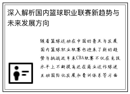 深入解析国内篮球职业联赛新趋势与未来发展方向