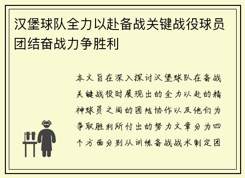 汉堡球队全力以赴备战关键战役球员团结奋战力争胜利