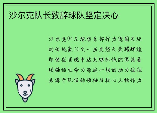 沙尔克队长致辞球队坚定决心